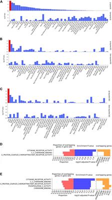 Inflammation and immunity connect hypertension with adverse COVID-19 outcomes